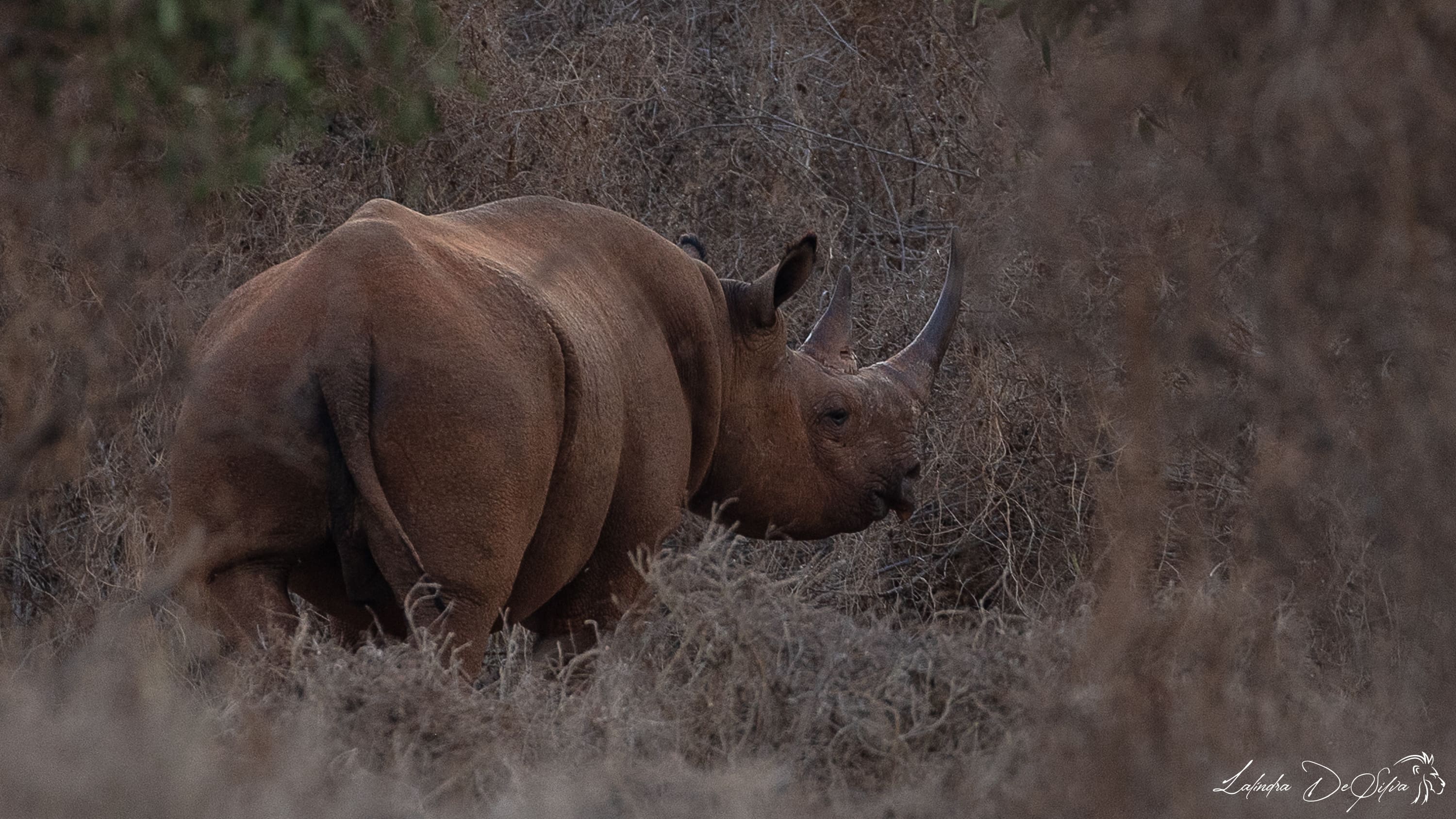 Tsavo National Park (East and West)